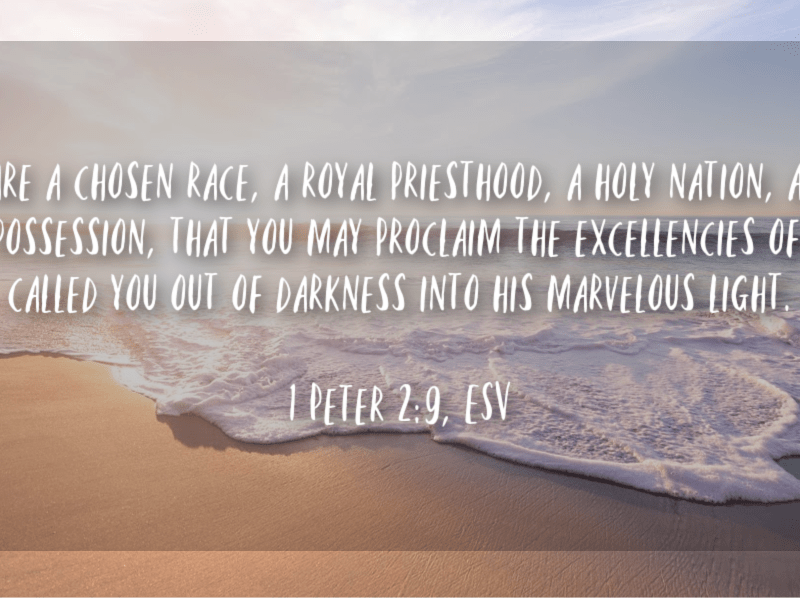 Created For So Much&nbsp;More